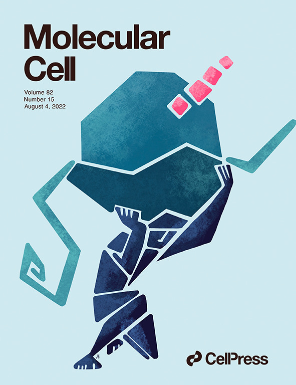 MolCell cover image