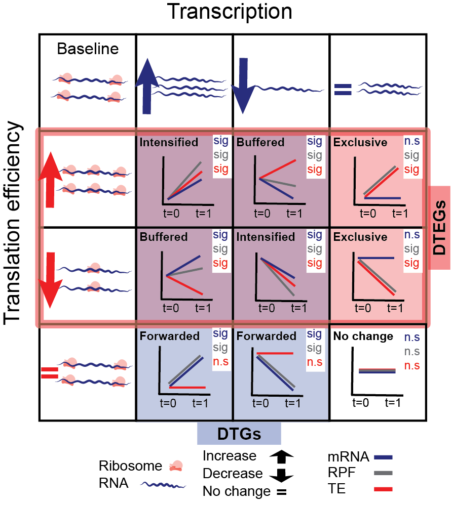 deltaTE tool image